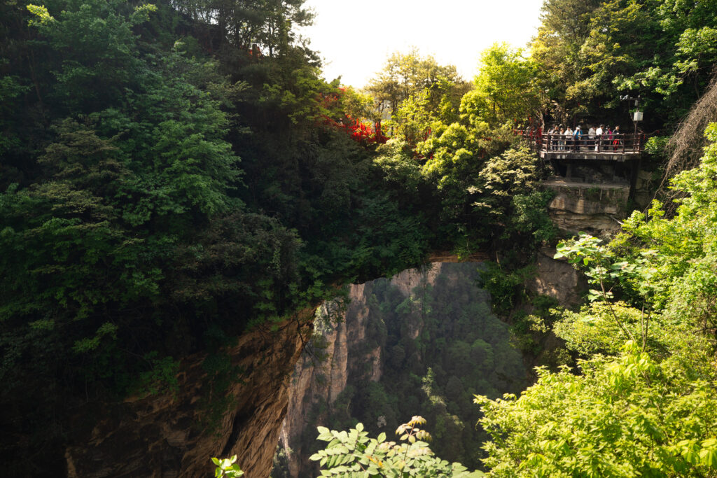 Madeira Wandelavontuur